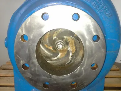 USED Goulds 3175