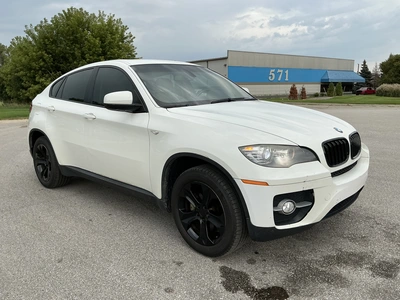 Used 2010 BMW X6 Tracked Mud Buggy Michigan US | Miedema Asset Management Group #1474468