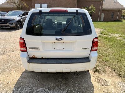 Used 2009 FORD ESCAPE SUVs Michigan US | Miedema Asset Management Group #1414381