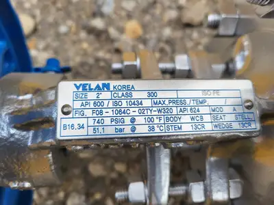 2" Class 300 Gate Valve B16.34