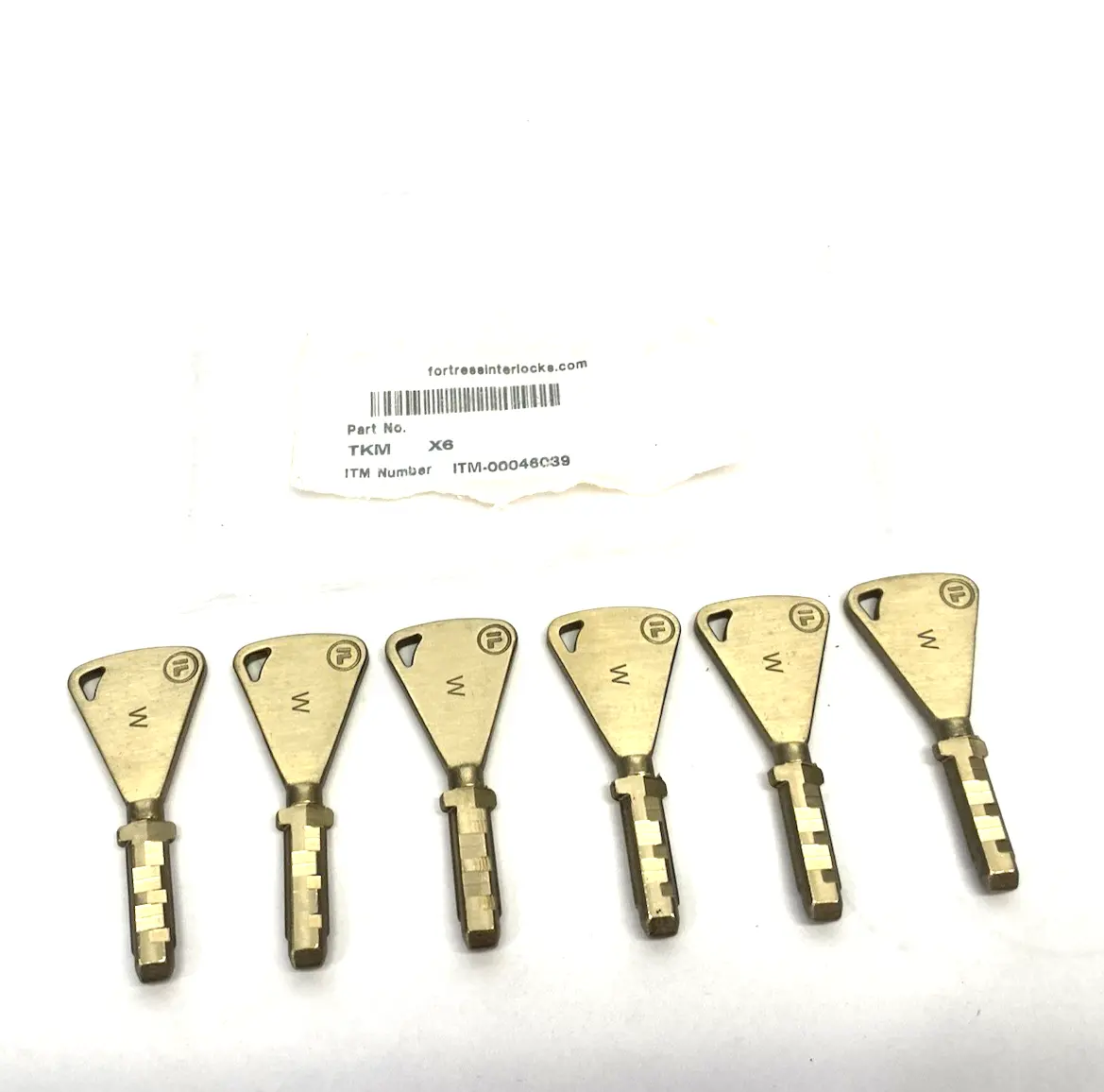 New | in-Stock Fortress Interlocks tGard Master Key ITM-00046039 LOT OF 6 Safety Products (Other) Michigan US | Maverick Industrial Sales #1393246