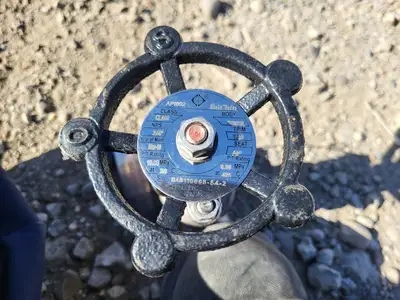 3/4" Class 800 Globe Valve API 602