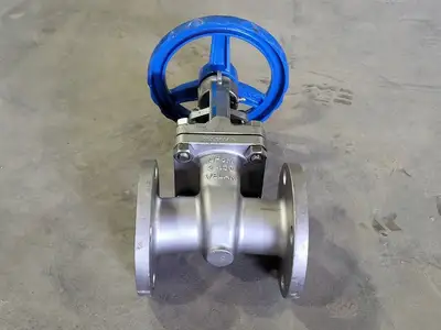 2" Class 150 Gate Valve B16.34
