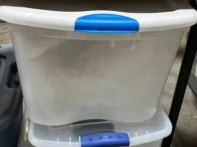 Set of 3 Clear Sterilite Storage Totes and 1 Blue Rubbermaid Tote