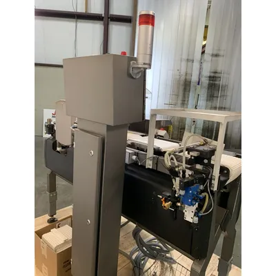 USED METTLER TOLEDO / SAFELINE, INC. STD/10X06/PG/300/ABS/V2