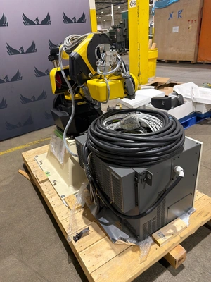 USED 2019 FANUC M-10iD/10L + R-30iB Plus