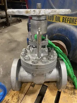 Used 2022 VALVE 3004426 Valves/Fittings Pennsylvania US | Global Equipment International, LLC #185746