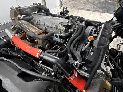 Used 2017 ISUZU NPR XD Reefer Trucks Florida US | Truck and Van Outlet #1509165