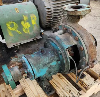 USED GOULDS 3196