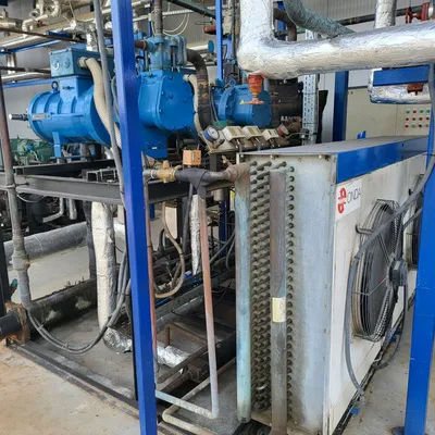 _UNKNOWN_ _UNKNOWN_ Plant - Food | Perry Equipment (7)