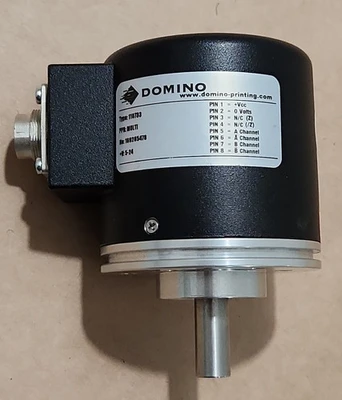 NEW Domino 118733