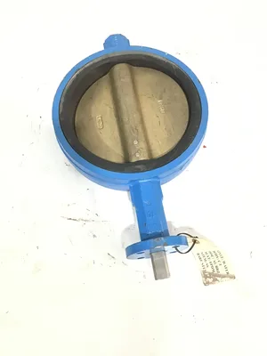 Watts AD10-2 Wafer Style Butterfly Valves 10″ EPDM Seat