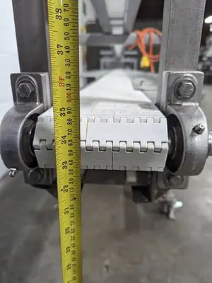 Fairview Packing Conveyor
