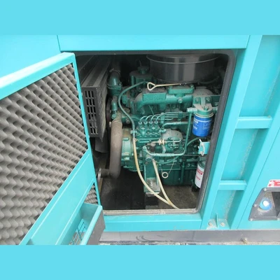 USED LAUYOO GENERATORS TFW2-30