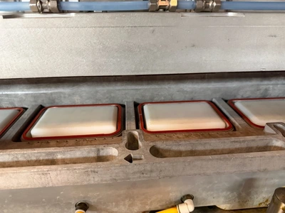 Used _UNKNOWN_ _UNKNOWN_ Tray Sealers Ohio US | Federal Equipment Company #1336493