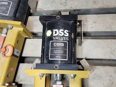 USED 2022 DSS SV1S08-NI-17-GF/1-PC08L-S2-S19-S32