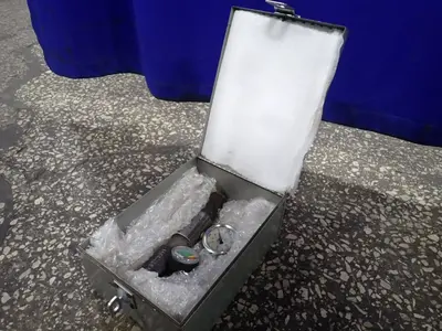 Pressure Regulator W/ Service Gauge