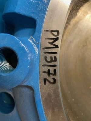 USED Goulds 3355