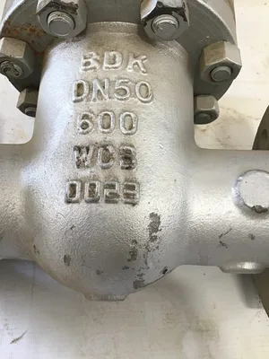 NEW BDK CAST IRON FLANGED GATE VALVE DN50, 600, WCB, 0023