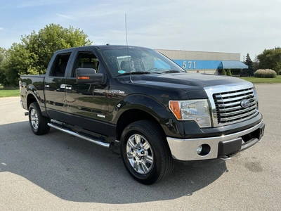 Used 2012 FORD F-150 Pickup Trucks Michigan US | Miedema Asset Management Group #1413888