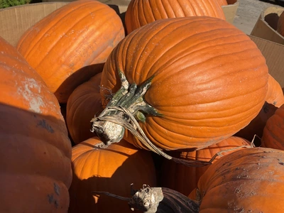 Used _UNKNOWN_ _UNKNOWN_ Farm Supplies Michigan US | Miedema Asset Management Group #1483476