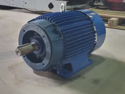 NEW ELEKTRIM ESG