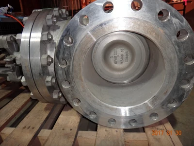 Lunkenheimer 10", Class 300, CF8M, Gate Valve