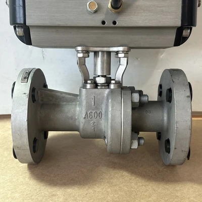 NEW Flowserve B085S10