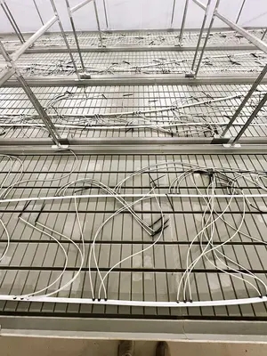 Rolling Vegetation Grow Tables (w/ fans, irrigation lines, grow lights) by Innovative Growers Equipment