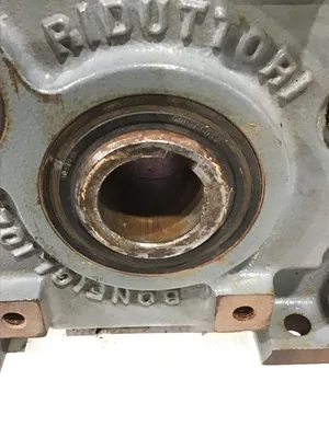 Bonfiglioli RA0 Hollow Worm Gear Speed Reducer