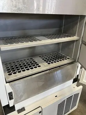 USED THERMO FISHER XBF40D - 40ºC LABORATORY  BLAST FREEZER 28.8 CU. FT. , 208/230 V