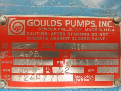 USED Goulds 3199