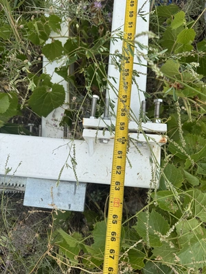 Used FARNESE LYNX Bridge Saws Michigan US | Miedema Asset Management Group #1395994