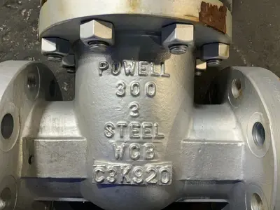 Used POWELL WCB 300 Pumps Ohio US | HGR 24 #1517006