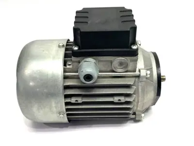 Used Coel AC Electric Motor 3-Phase 50/60Hz 201112 A.C. Motors Michigan US | Maverick Industrial Sales #1393400