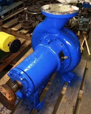 Goulds 3196 8x10x13 SS Pumps (2)