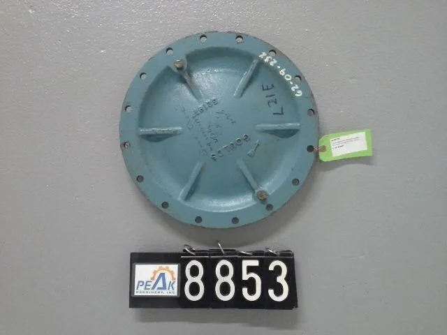 USED Goulds 3175M