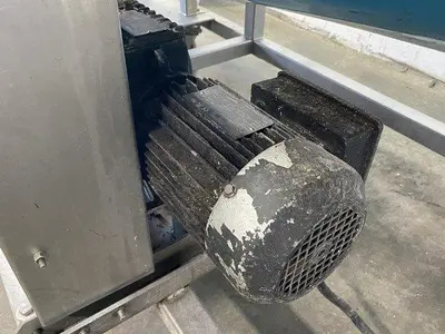 Food-Grade Conveyor With Diverter Conveyor