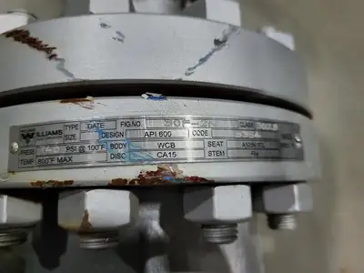 3" Class 300 Gate Valve API 600