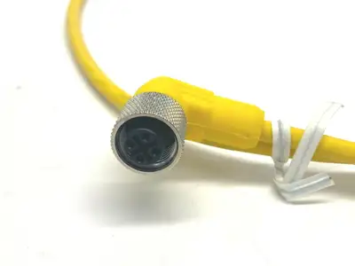 RSWT 4-RKWT 4-679/1M / 600001802 | Lumberg Automation RSWT 4-RKWT 4-679/1M Double-Ended Cordset 600001802 - New Other