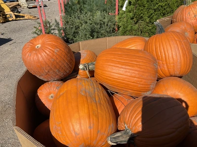 Used _UNKNOWN_ _UNKNOWN_ Farm Supplies Michigan US | Miedema Asset Management Group #1483476