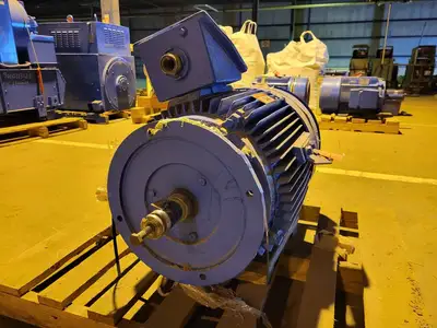 60 hp, 575 volts, 1170 rpm, 365LPZ, Electric Motor