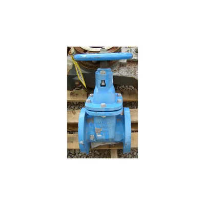 4" WATTS REGULATOR MANUAL WATER GATE VALVE