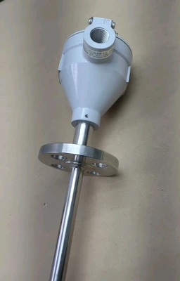 NEW HAYASHI DENKO Pt100-A-2-M