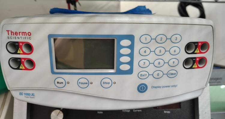 Used THERMO SCIENTIFIC _UNKNOWN_ Electrophoresis California US | Biotech Equipment Sales #1464480