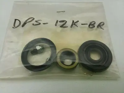 Chicago Cylinder Corporation DPS-12K-BR Repair Kit For N-258, N-114