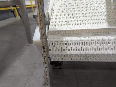 30" W Incline Modular Belt Conveyor