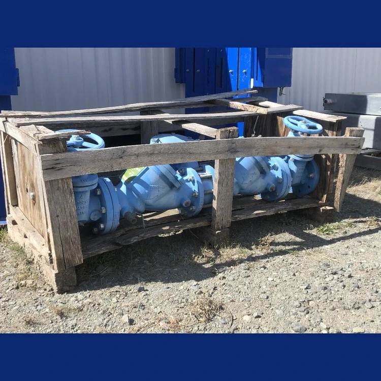 New | in-Stock WATTS 909RP Valves/Fittings British Columbia CA | Savona Equipment LTD #1166615