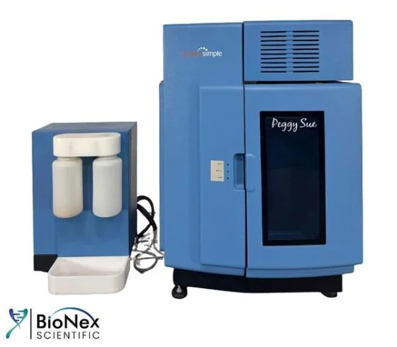 Used PROTEINSIMPLE PEGGY SUE SIMPLE WESTERN Electrophoresis New Jersey US | Bionex Scientific LLC #800419