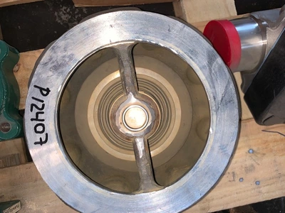 6"-150# DFT Check Valve CF8M Stainless, New Storeroom Spare